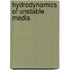 Hydrodynamics of Unstable Media