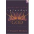 Immersed in the Splendor of God