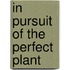 In Pursuit Of The Perfect Plant