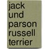 Jack und Parson Russell Terrier