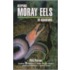 Keeping Moray Eels In Aquariums