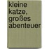Kleine Katze, großes Abenteuer