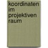 Koordinaten im projektiven Raum