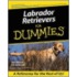 Labrador Retrievers for Dummies
