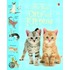 Little Book Of Cats And Kittens