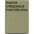 Marine Cretaceous Invertebrates