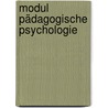 Modul Pädagogische Psychologie door Rudi F. Wagner