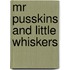 Mr Pusskins And Little Whiskers