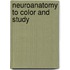 Neuroanatomy To Color And Study