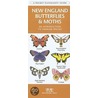 New England Butterflies & Moths door James Kavanaugh
