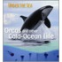 Orcas And Other Cold-Ocean Life