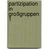 Partizipation in Großgruppen 1 by Nicole J. Saam