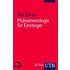 Phänomenologie für Einsteiger