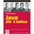 Professional Java Jdk 6 Edition