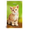 pocket agenda  My Favourite Friends: 2010 soft cover