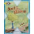 Proj X:underground Ants At Home