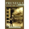 Prunella in the Land of Beavers door Nathalie Ponze