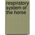 Respiratory System Of The Horse
