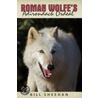 Roman Wolfe's Adirondack Ordeal door Bill Sheehan