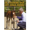 De training van het jonge paard