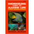 Snorkeling Guide To Marine Life