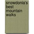 Snowdonia's Best Mountain Walks