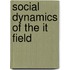 Social Dynamics Of The It Field