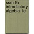 Ssm T/A Introductory Algebra 1e