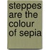 Steppes Are The Colour Of Sepia