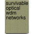 Survivable Optical Wdm Networks