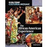 The African American Experience door Sandy Donovan