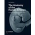 The Anatomy of the Human Embryo