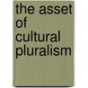 The Asset Of Cultural Pluralism door Mei Kelly