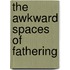 The Awkward Spaces Of Fathering