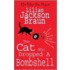 The Cat Who Dropped A Bombshell