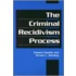 The Criminal Recidivism Process