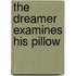 The Dreamer Examines His Pillow
