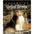 The Essential Shetland Sheepdog