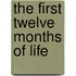 The First Twelve Months of Life