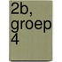 2b, groep 4