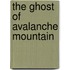 The Ghost of Avalanche Mountain
