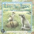 The Little Fox And The Lost Egg