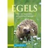 Egels