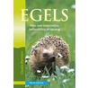 Egels