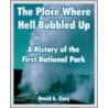 The Place Where Hell Bubbled Up door David A. Clary