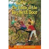The Riddle Of The Boy Next Door door Enid Blyton