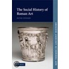 The Social History Of Roman Art door Peter Stewart