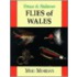 Trout And Salmon Flies Of Wales