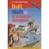 Dolfi, Wolfi en de gevaarlijke ontvoerders