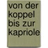 Von der Koppel bis zur Kapriole